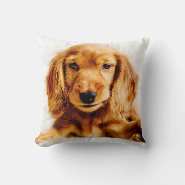 Almofada Cushion Puppy com panela branca (Frente)