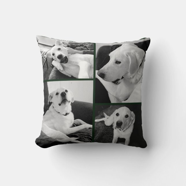 Almofada Cute and Funny Black and White Dog Photos Green   (Frente)