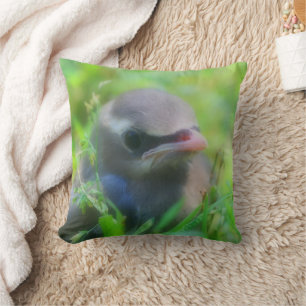 Almofada Cute Baby Cedar Waxwing Bird Travesseiro