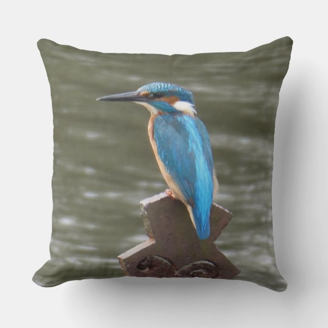 Almofada Cute Kingfisher Throw Pillow (Frente)