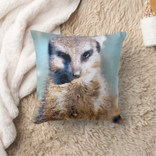 ALMOFADA CUTE MEERKAT