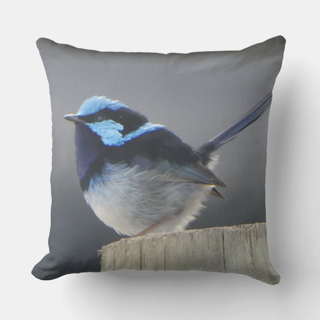 Almofada Cute Superb Fairywren Cushion (Frente)