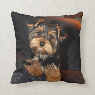 Almofada Cute Yorkshire Terrier Yorkie Puppy Dog Travesseir