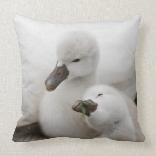 Almofada Cygnets da cisne muda
