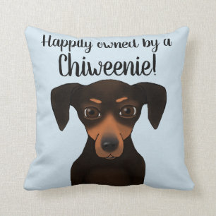 Almofada Dachshund feliz possuído bonito da chihuahua de