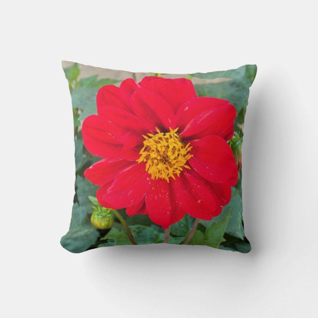 Almofada Dahlia Bright Red (Frente)