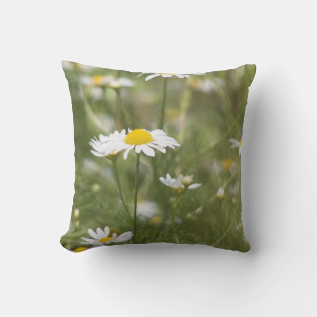Almofada Daisy (Frente)