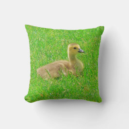 Almofada de Arremesso Canada Goose