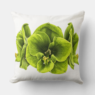 Almofada de Arremesso de Amaryllis Verde Retro Pop