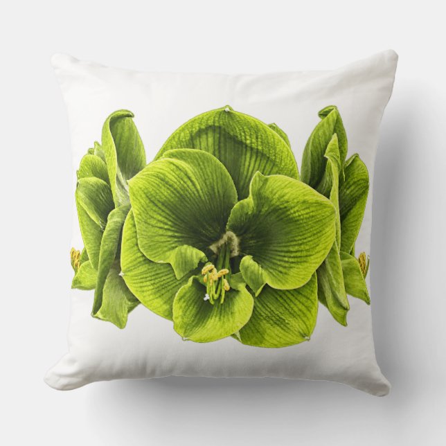 Almofada de Arremesso de Amaryllis Verde Retro Pop (Frente)