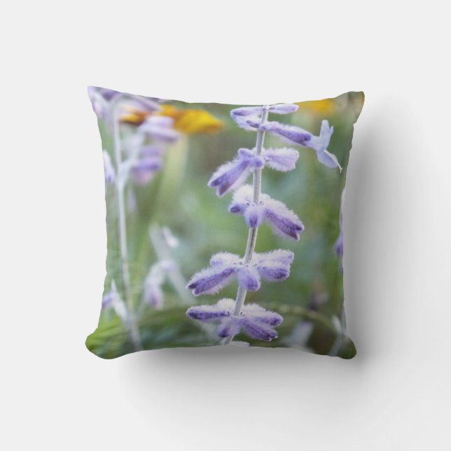 Almofada de Arremesso de Flor de Salvia Russa Roxa (Frente)