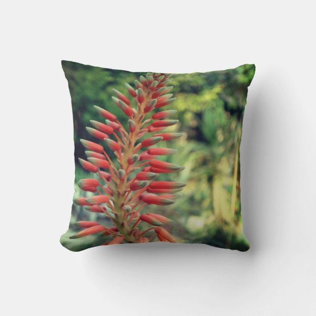 Almofada de Arremesso de Foto de Planta de Aloe Ve (Frente)