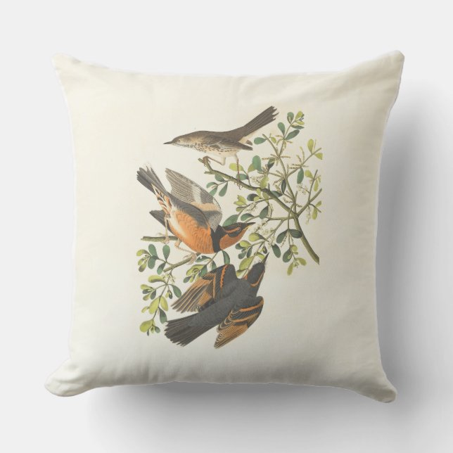 Almofada de Arremesso de Ilustração de Aves Botâni (Frente)