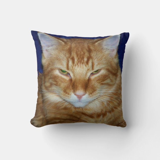 Almofada de Gato Irritado - Maine Coon Laranja (Frente)