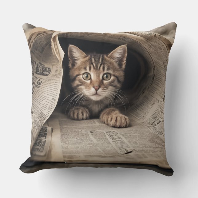 Almofada de lançamento de gato fatastick (Frente)