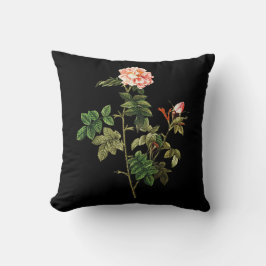 Almofada de lançamento Rosa Orbessanea