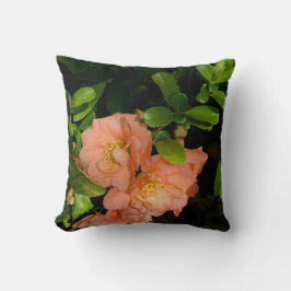 almofada de quince e rhoddy