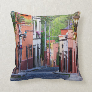 Almofada De Sollano Rua, San Miguel De Allende