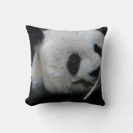 Almofada Decoração Aconchegante de Animais
