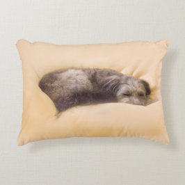 ALMOFADA DECORATIVA 犬の眠り(アクセントクッション)