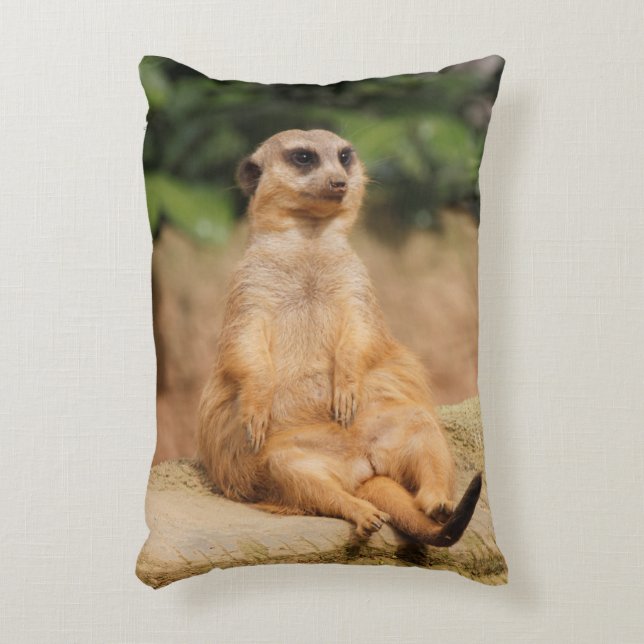 ALMOFADA DECORATIVA 2015_0110 (Frente(Vertical))