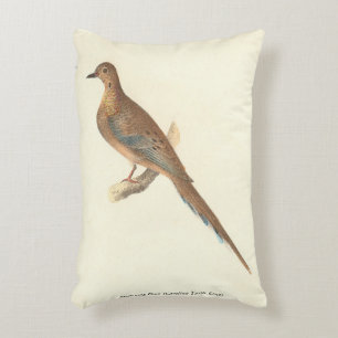 Almofada Decorativa A Dove de Luto (Carolina Turtle Dove) NY Aves