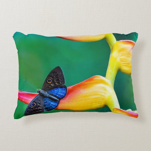 Almofada Decorativa Adicione Seus Próprios presentes personalizados do (Frente)