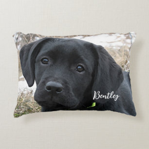 Almofada Decorativa Aguardando Primavera - Labrador Puppy - Preto Lab