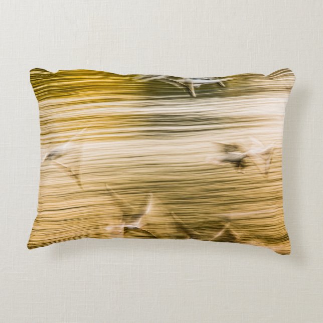 Almofada Decorativa Agulhas voadoras - abstrato (Verso)