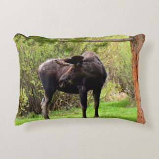 Almofada Decorativa Alce Touro Jovem