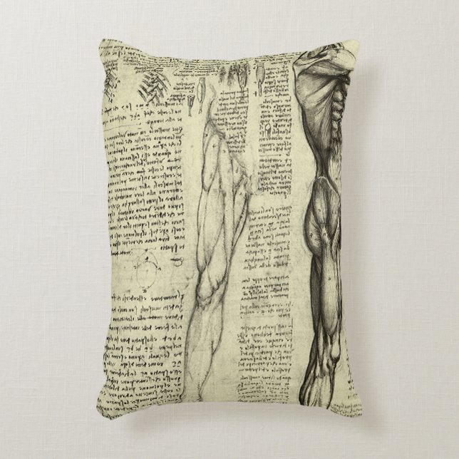 Almofada Decorativa Anatomia Humana Masculina de Leonardo da Vinci - M (Frente(Vertical))