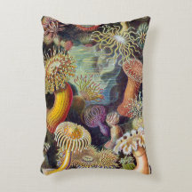 Anêmonas Marinhas Vintage por Ernst Haeckel