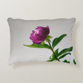 Almofada Decorativa Aqui estão algumas ideias criativas para um traves