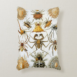 Almofada Decorativa Aranhas ou Aracnídeos Vintage por Ernst Haeckel