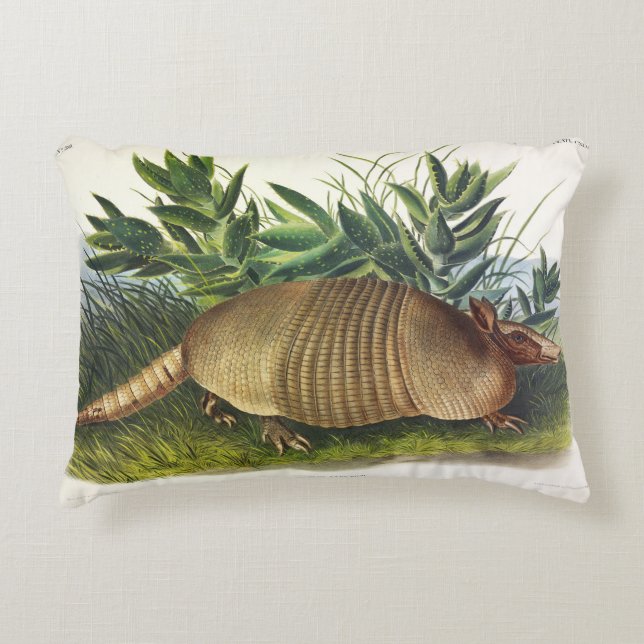 Almofada Decorativa Armadillo de nariz longo de nove pela Audubon (Frente)