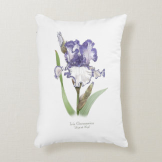 Almofada Decorativa Arte Botânica Floral Íris Rupa Púrpura