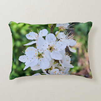 Almofada Decorativa Árvore em Flor na Primavera Romênia – Fotografia d