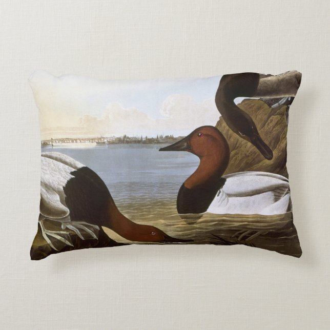 Almofada Decorativa Audubon: Canvasback (Frente)