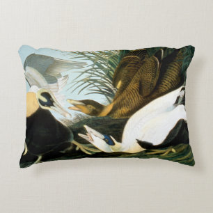 Almofada Decorativa Audubon: Pato de êider