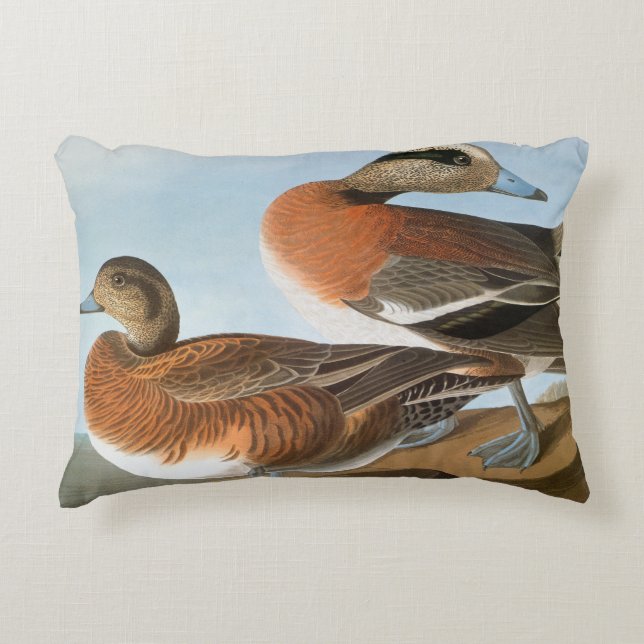 Almofada Decorativa Audubon: Wigeon (Frente)