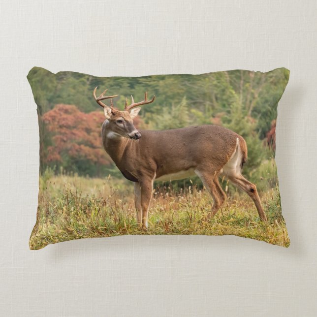 Almofada Decorativa Autumn Whitetail Buck (Frente)