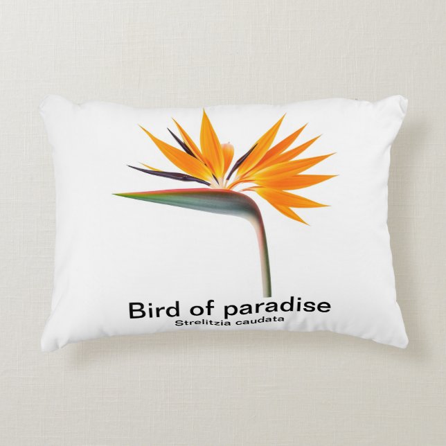 Almofada Decorativa ave do paraíso strelitzia travesseiro (Frente)