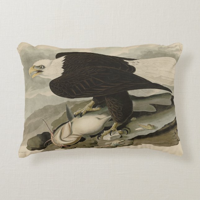 Almofada Decorativa Aves de Audubon com cabeça branca (Águia Balda) da (Frente)