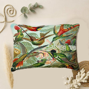 Almofada Decorativa Aves de capoeira por Haeckel Trochilidae