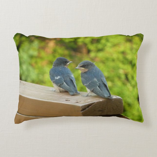 Almofada Decorativa Baby Barn Swallow Nature Bird Foto (Frente)