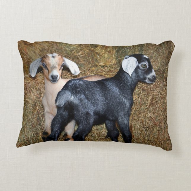 Almofada Decorativa Bany Goats (Verso)