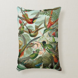 Almofada Decorativa Beija-flores por Ernst Haeckel, Árvores de Pássaro