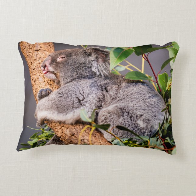 Almofada Decorativa Bela coala (Verso)