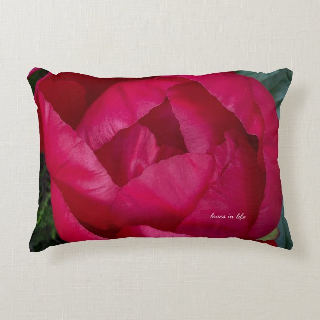 Almofada Decorativa Bela Pensão Vermelha (Frente)