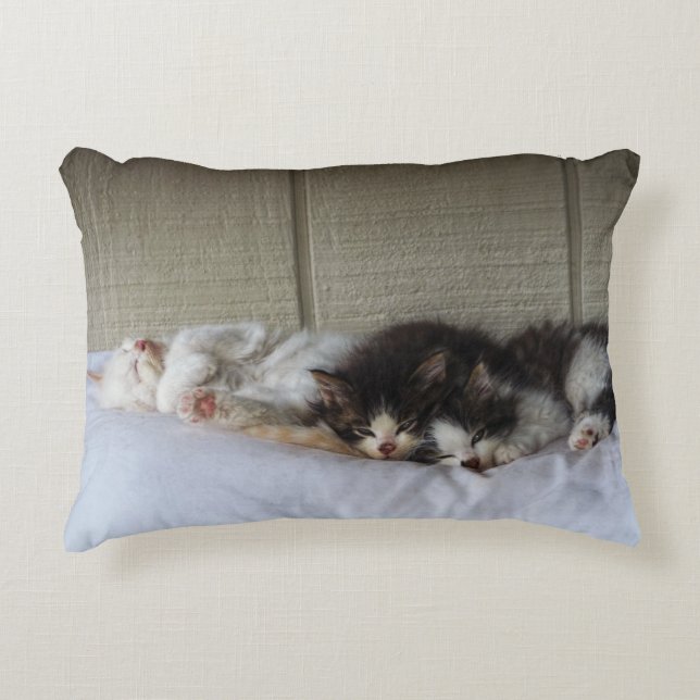 Almofada Decorativa Beleza Dormindo (Frente)